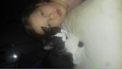 Shelby participe au concours pour gagner de l'argent avec cette photo : abdomen, carnivore, cat, comfort, companion_dog, dog_breed, domestic_short_haired_cat, ear, eye, felidae, formal_wear, fur, head, jaw, nose, small_to_medium_sized_cats, smile, snout, tail, whiskers