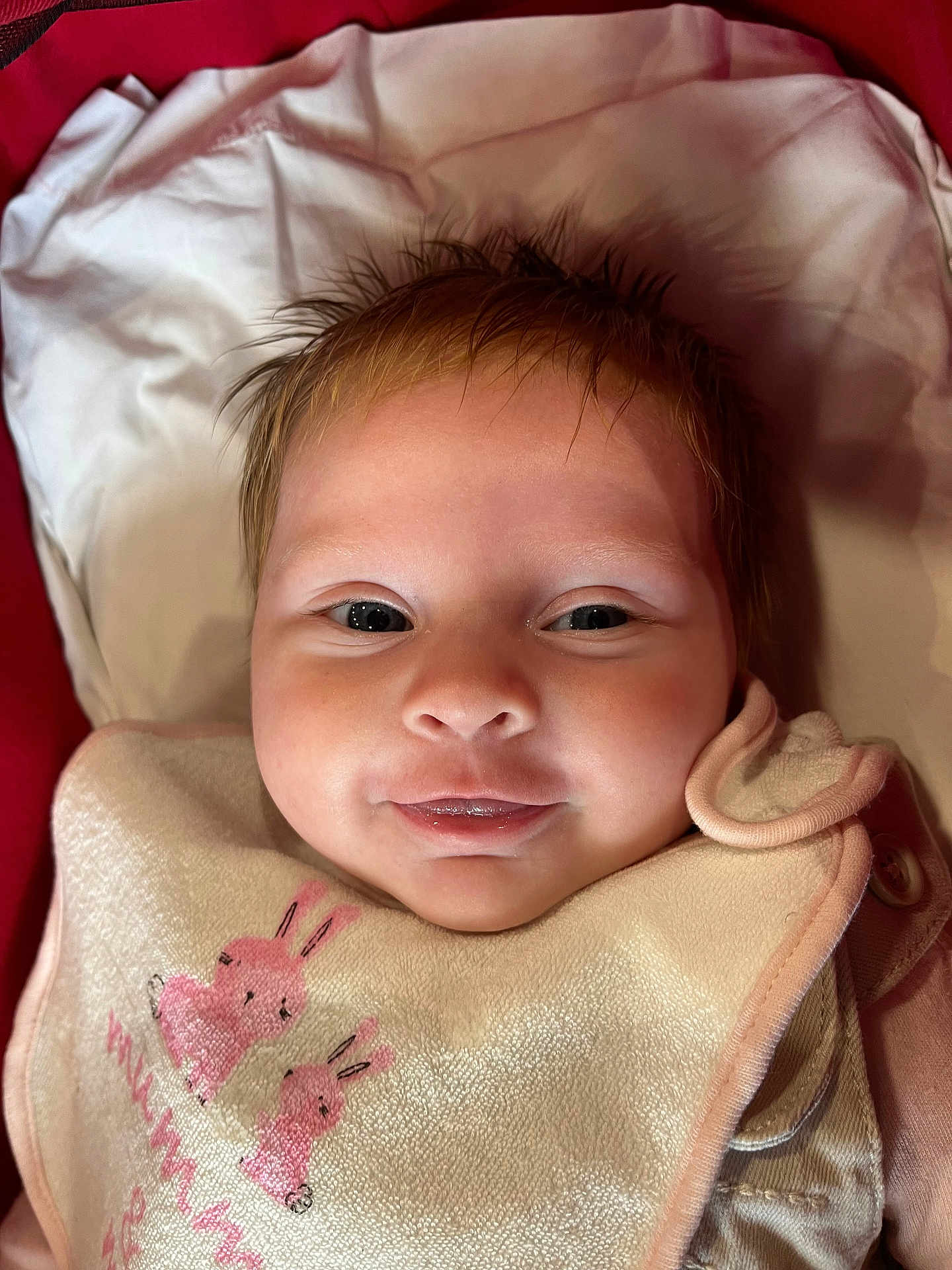 Hazel is registered to the contest to win money with this photo: baby, infant, face, smile, bib, pink, bunny, clothing, blanket, closeup, child, cute, soft, happy, person, portrait, newborn, skin, lying, head