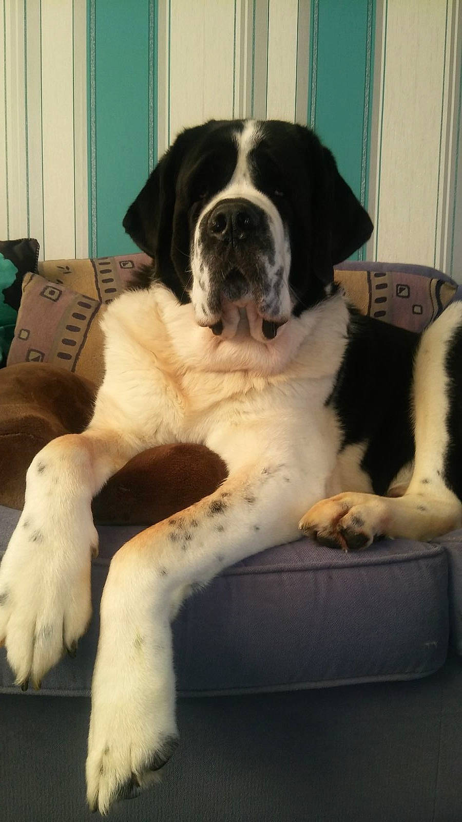 Sully joined the competition — help win amazing prizes!