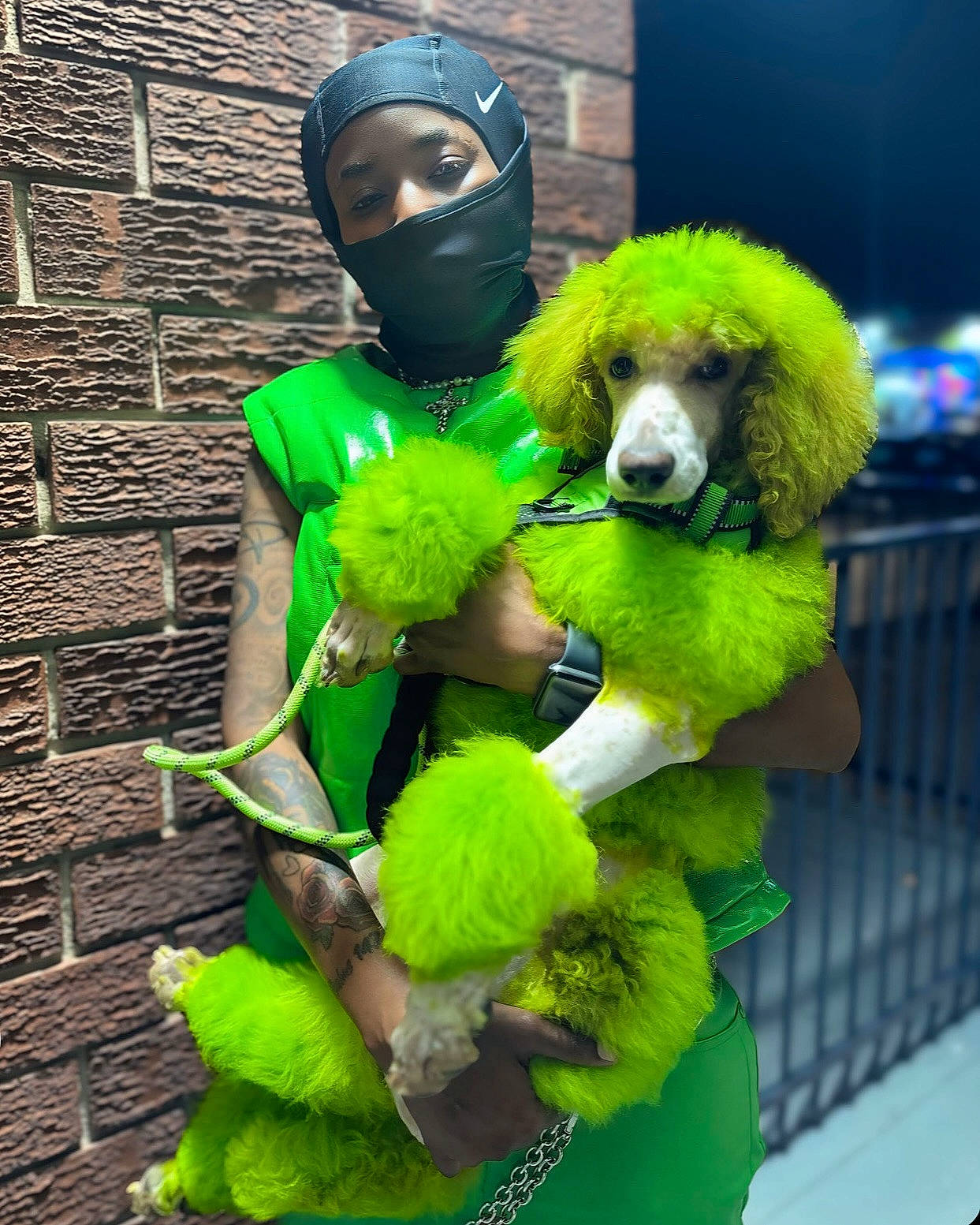 adult, animal, bird, brick, canine, clothing, costume, dog, face, female, green, greenhair, hair, head, person, pet, photography, poodle, portrait, woman