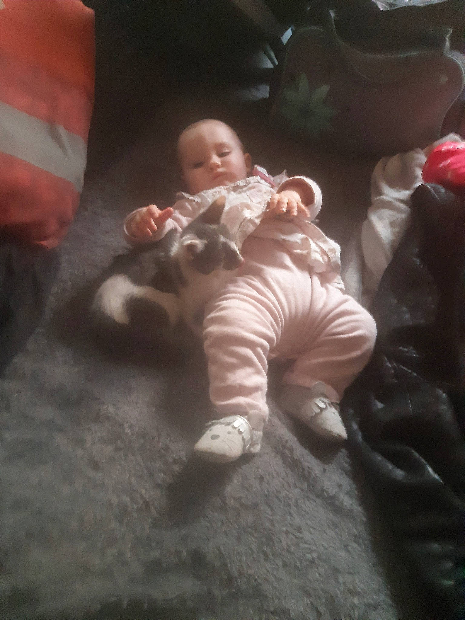 Kézya participe au concours pour gagner de l'argent avec cette photo : baby, child, person, toddler