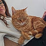 Suko participe au concours pour gagner de l'argent avec cette photo : cat, orange_tabby, pet, animal, feline, whiskers, ears, green_eyes, striped_fur, fluffy, lying_down, lounging, indoor, portrait, person, glasses, white_clothing, black_clothing, close_up, relaxed