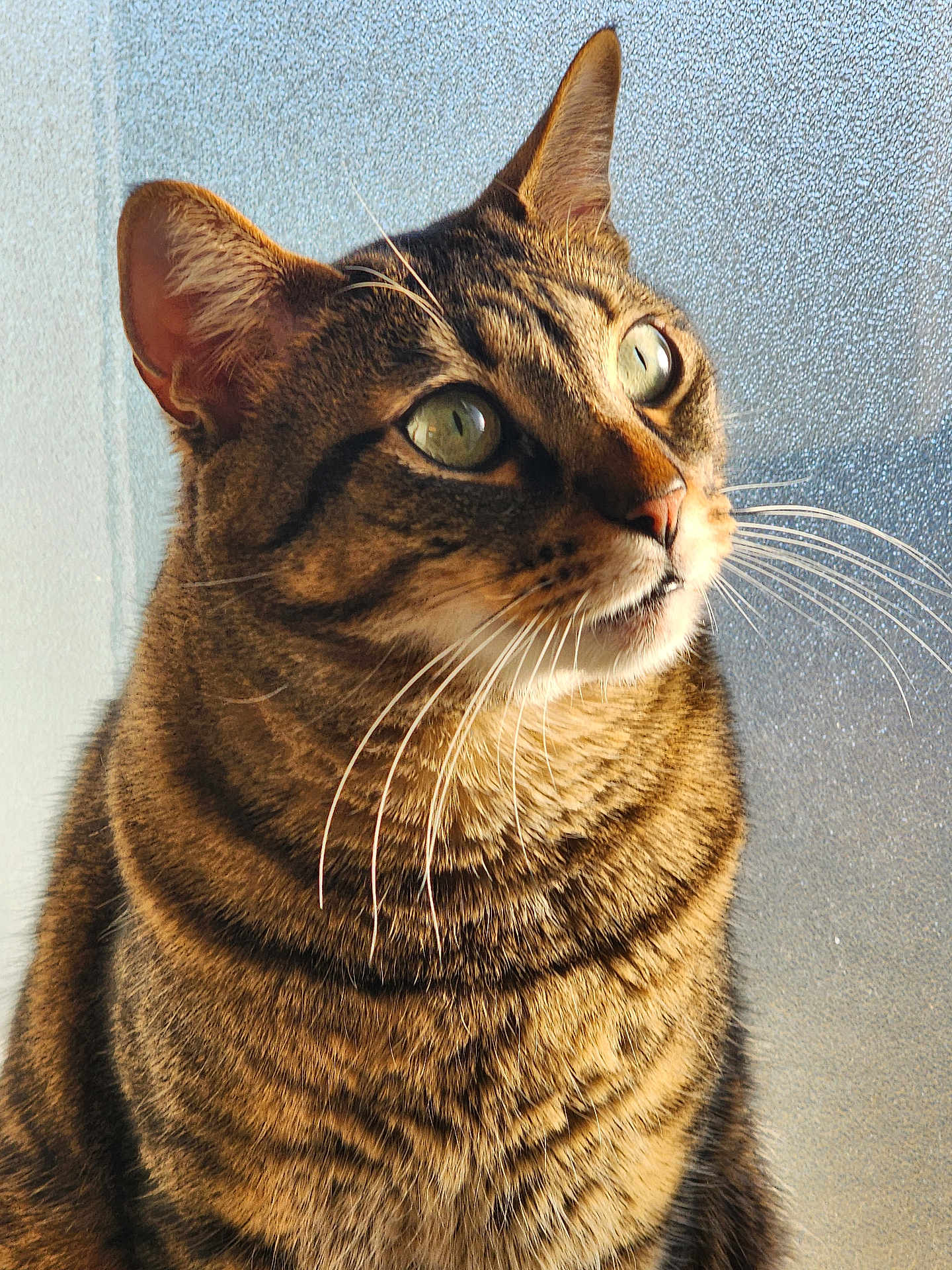 Smokey