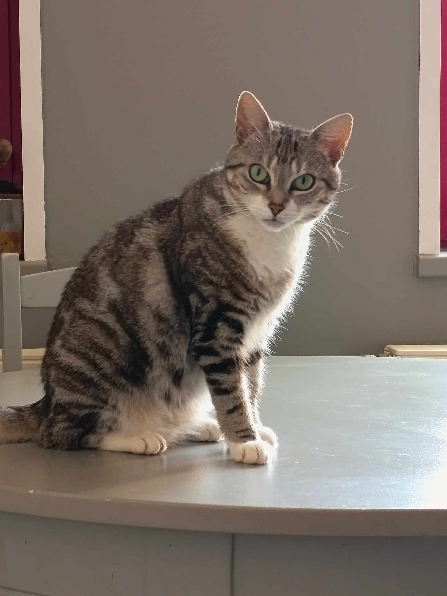 Nala
