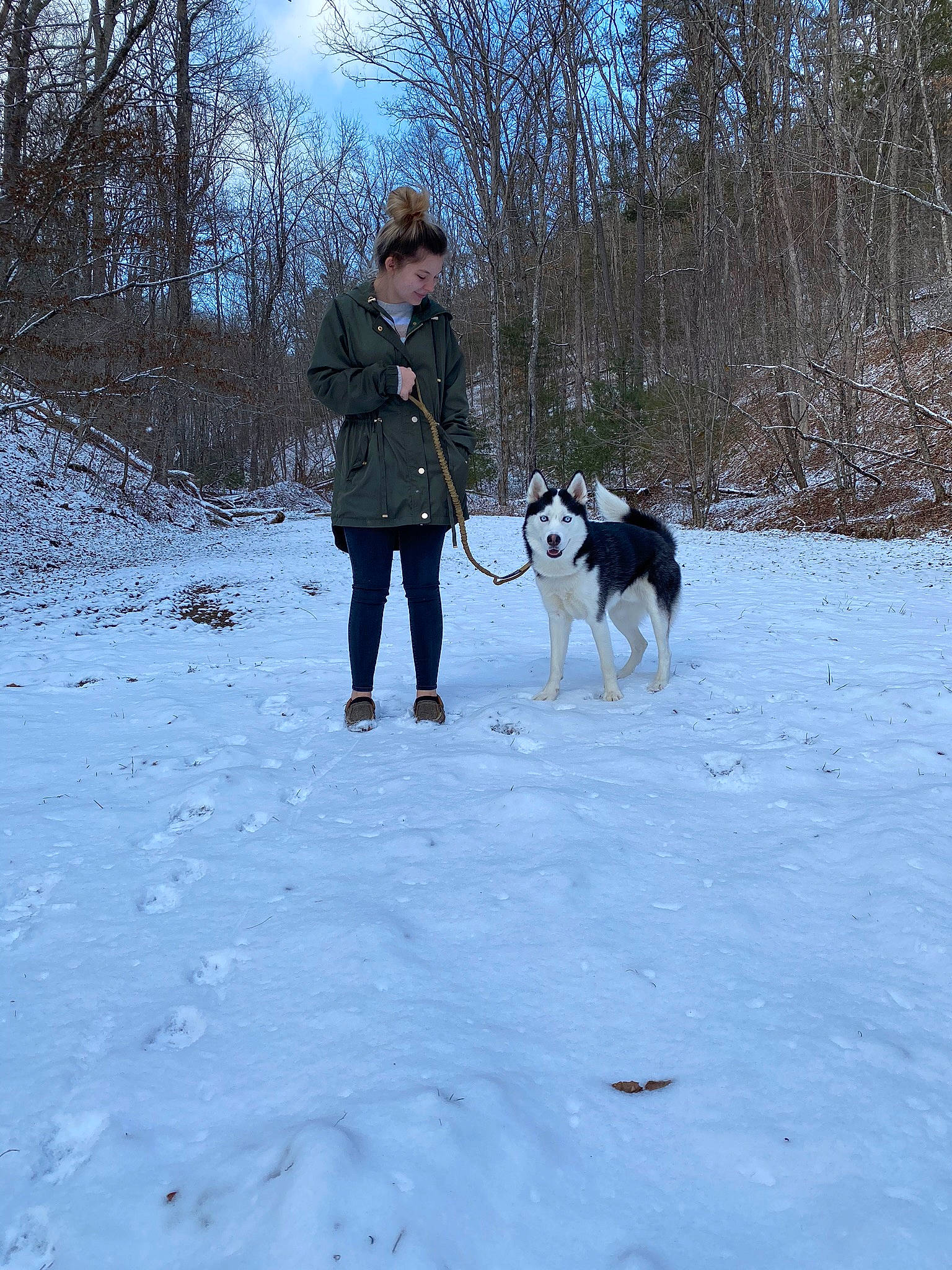 Ajax Tucker joined the competition — help win amazing prizes! canidae, carnivore, cloud, dog, dog_breed, dog_hiking, dog_walking, freezing, leash, leisure, pet_supply, plant, playing_in_the_snow, recreation, sky, snow, sporting_group, sports, tree, winter