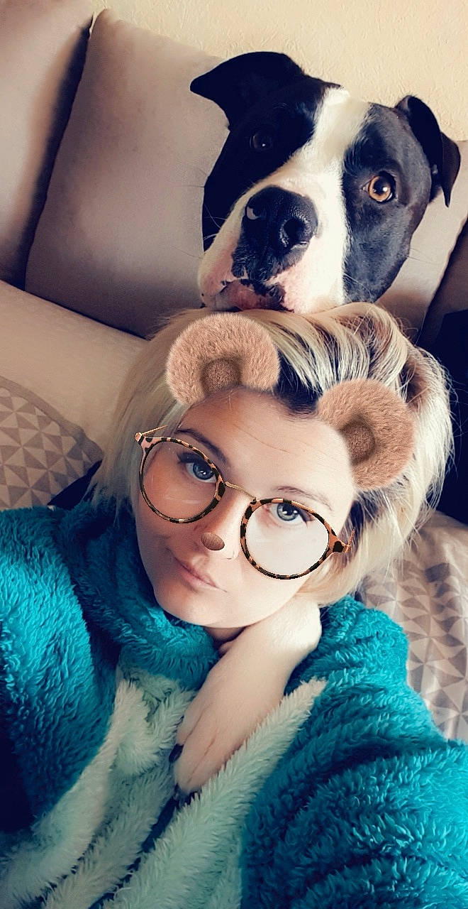 Harley a rejoint le concours — aidez-le/la à gagner de superbes lots ! boston_terrier, canidae, carnivore, companion_dog, cool, danish_swedish_farmdog, dog, dog_breed, ear, eye, eyewear, fawn, glasses, head, nose, photography, puppy, puppy_love, selfie, smile