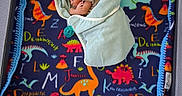 Josiah is registered to the contest to win money with this photo: baby, bed, blanket, child, colorful, cozy, crib, cute, dinosaur, fleece, indoor, infant, pacifier, pattern, playpen, resting, sleeping, soft, toy, wrapped