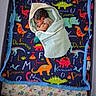 baby, bed, blanket, child, colorful, cozy, crib, cute, dinosaur, fleece, indoor, infant, pacifier, pattern, playpen, resting, sleeping, soft, toy, wrapped