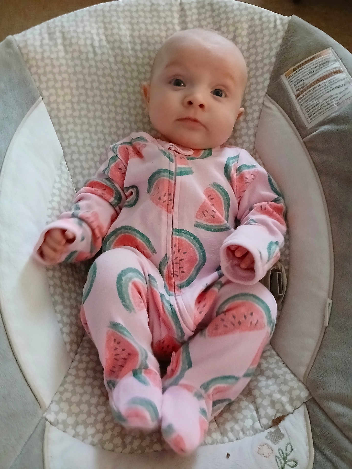 Vivian is registered to the contest to win money with this photo: baby, infant, child, onesie, watermelon_pattern, footed_pajamas, baby_bouncer, infant_seat, cushion, seat_pad, face, portrait, looking_up, wide_eyes, hands, feet, cozy, home_interior, fabric, pattern