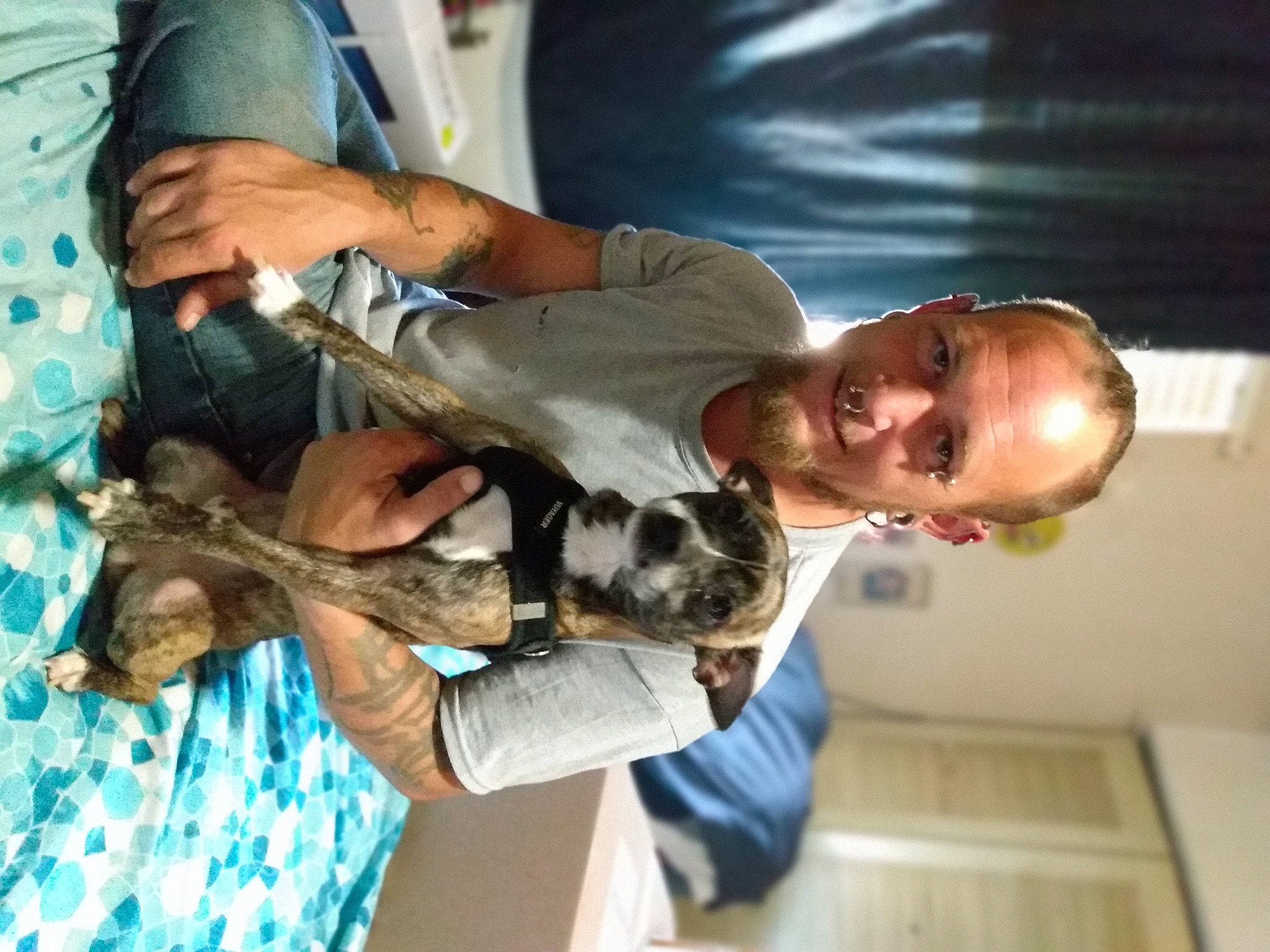 Stomp joined the competition — help win amazing prizes! arm, army, carnivore, companion_dog, dog, dog_breed, elbow, felidae, fun, fur, gesture, military_camouflage, small_to_medium_sized_cats, sporting_group, tree, wildlife_biologist