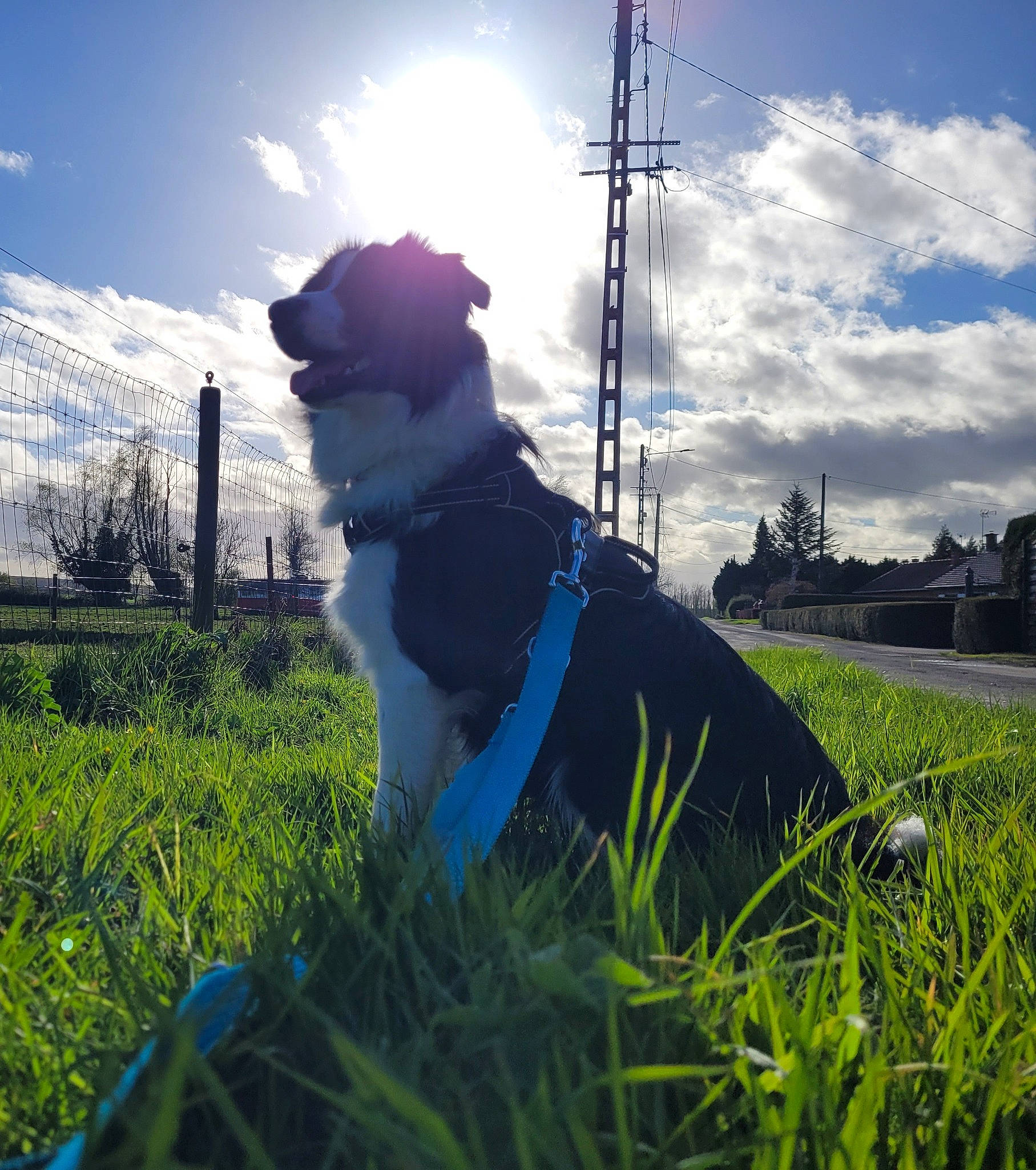 Ulko
