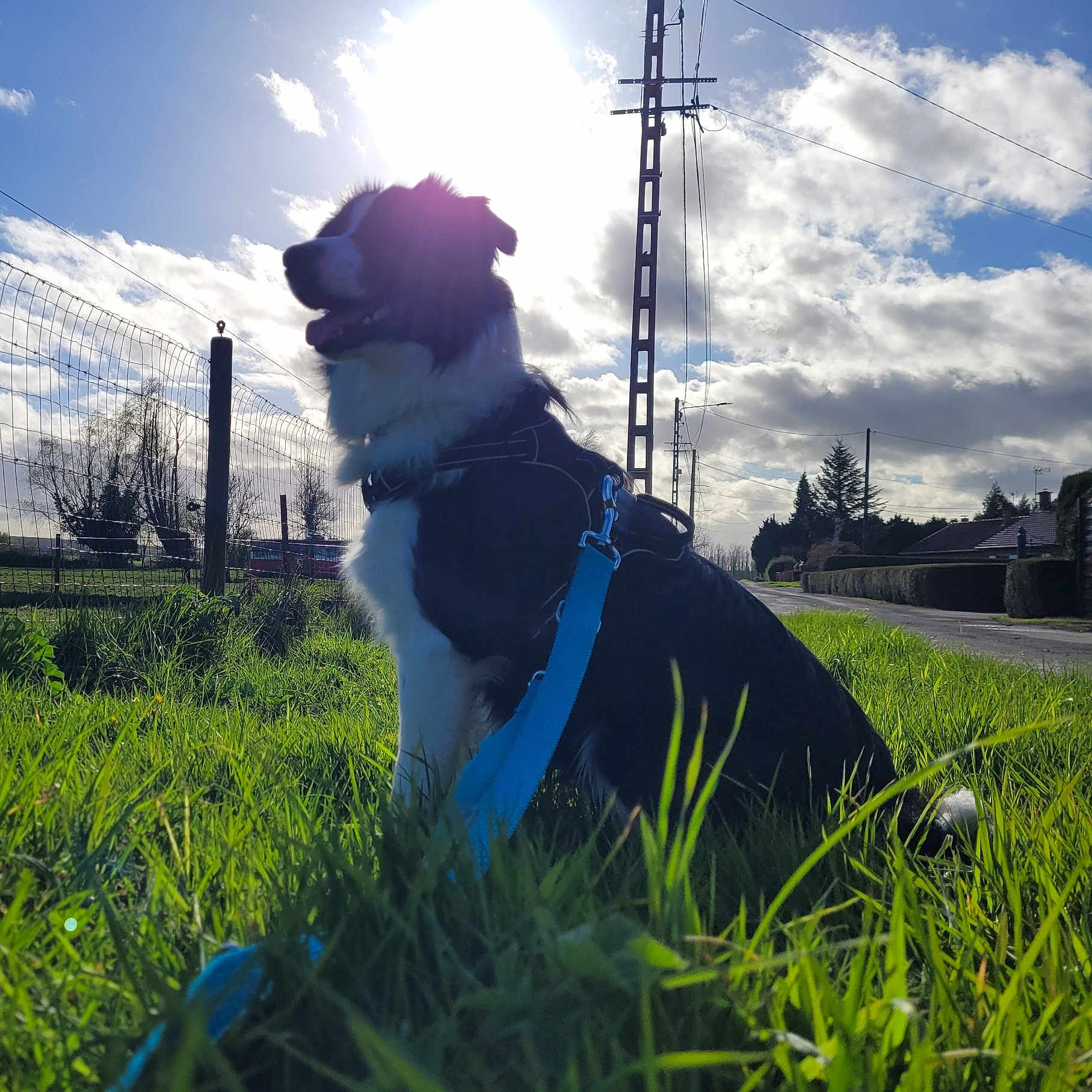 Ulko