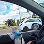 kitten, cat, car, window, harness, leash, hand, parking_lot, white_car, side_mirror, clouds, blue_sky, trees, person, arm, vehicle_interior, door, outdoor, daytime, curious