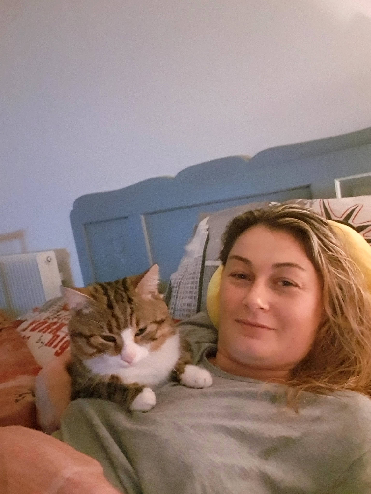 Tibi participe au concours pour gagner de l'argent avec cette photo : aegean_cat, asian, carnivore, cat, domestic_short_haired_cat, european_shorthair, felidae, fur, joy, kitten, person, small_to_medium_sized_cats, whiskers