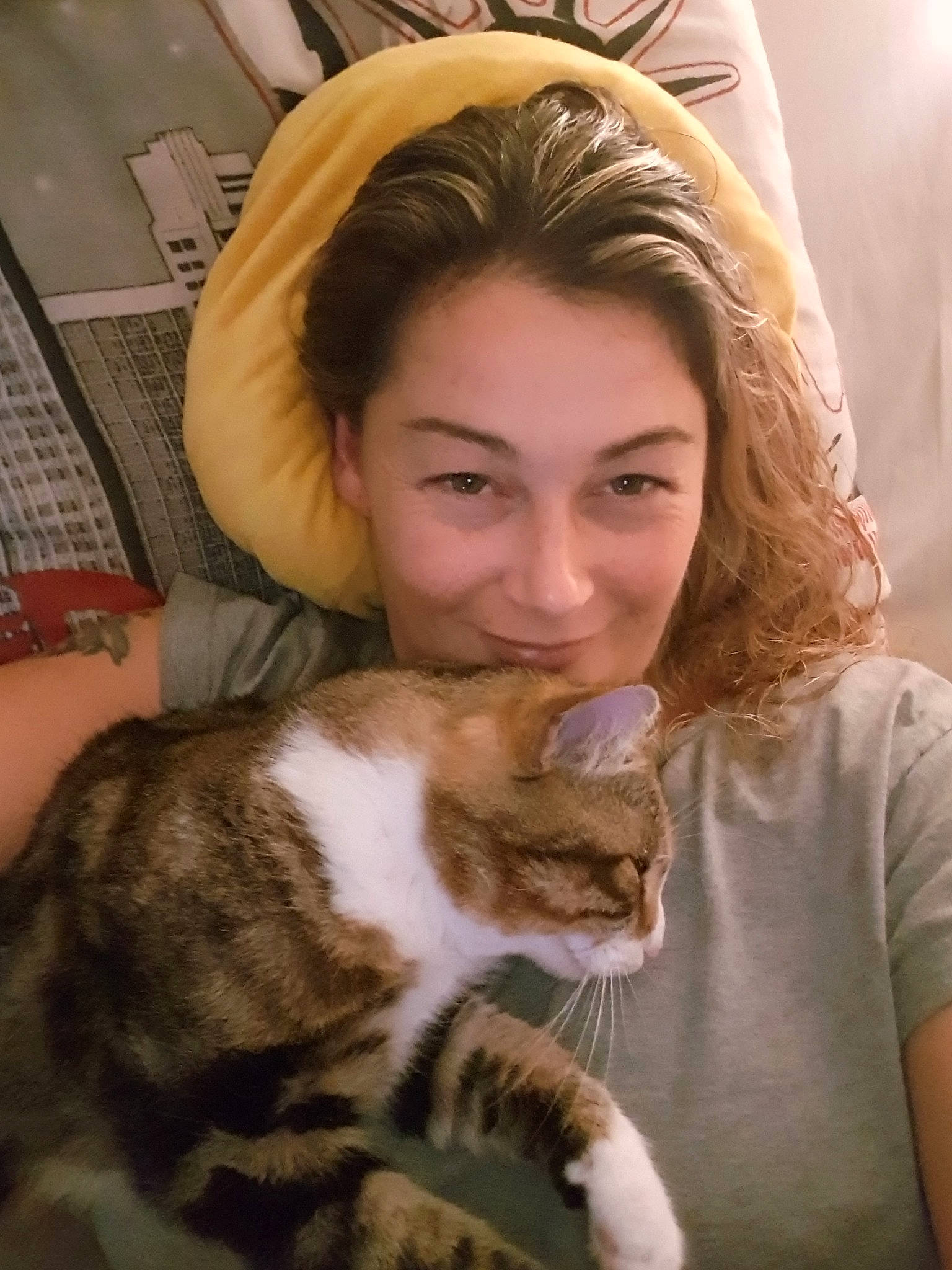 Tibi participe au concours pour gagner de l'argent avec cette photo : aegean_cat, american_curl, american_shorthair, american_wirehair, asian, carnivore, cat, domestic_short_haired_cat, dragon_li, ear, european_shorthair, felidae, fur, kitten, long_hair, nose, person, small_to_medium_sized_cats, sokoke, tabby_cat