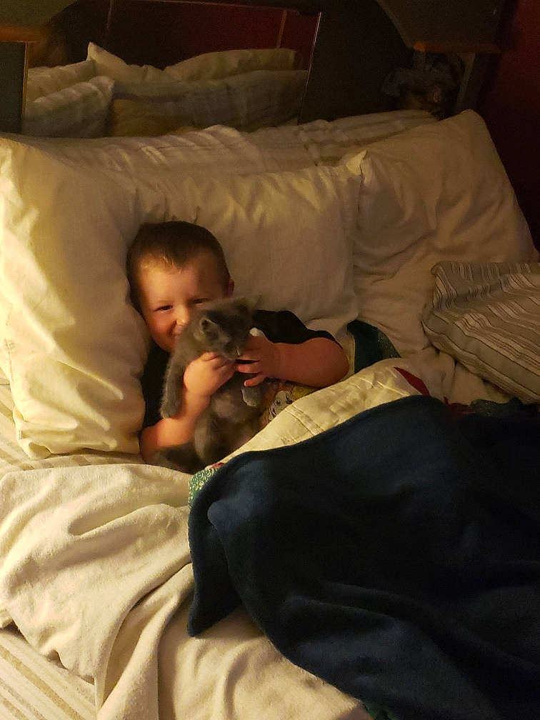 Leland joined the competition — help win amazing prizes! baby, bed, bed_sheet, bedding, bedroom, bedtime, child, comfort, duvet, flooring, hardwood, joy, linens, nap, person, room, sitting, sleep, textile, tints_and_shades