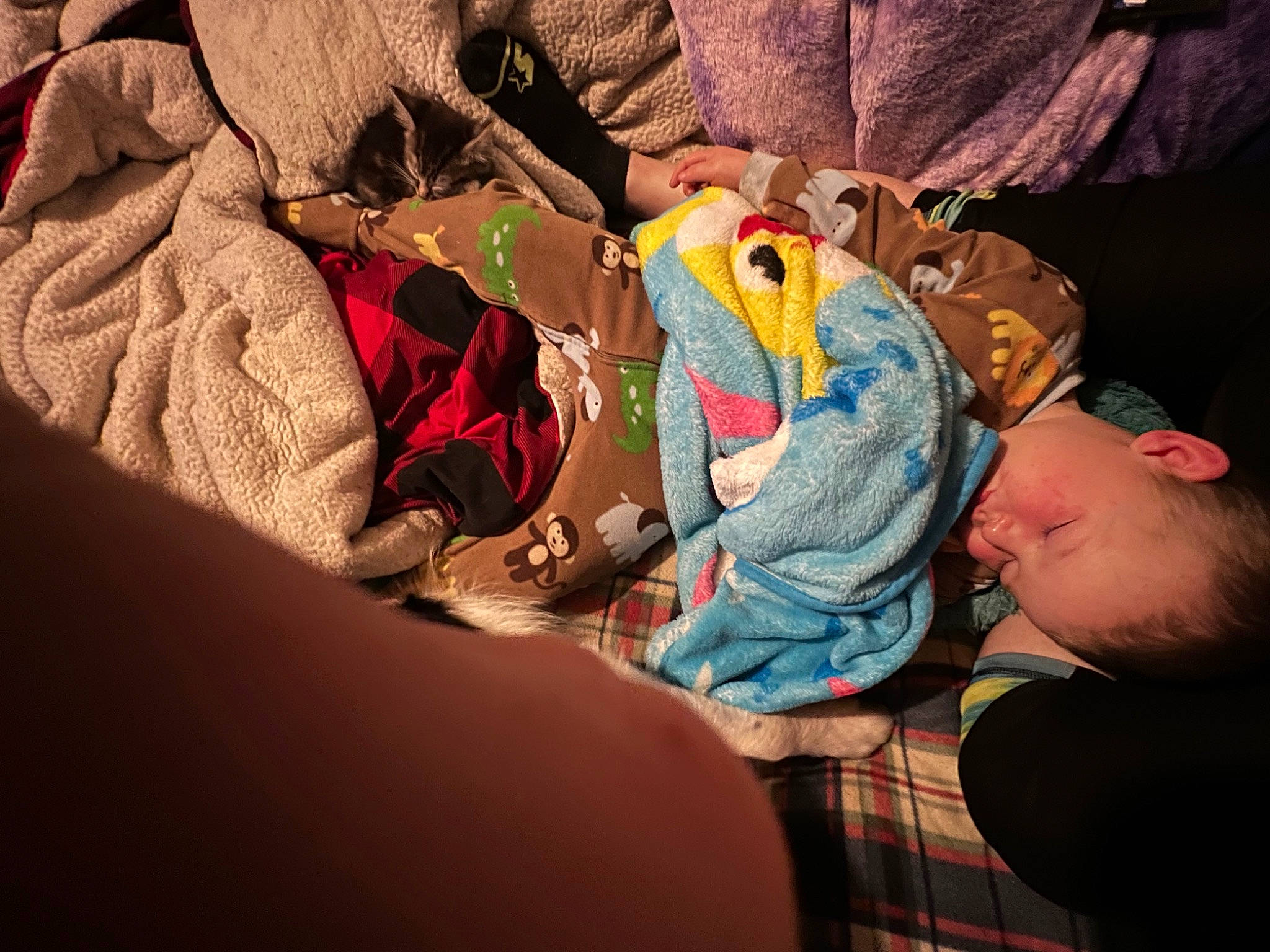 Leland is registered to the contest to win money with this photo: baby, child, comfort, event, fun, landscape, leisure, linens, pattern, person, plaid, recreation, room, sitting, stuffed_toy, t_shirt, tartan, toddler, toy, visual_arts