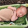 baby, newborn, sleeping, basket, green, blanket, outdoor, nature, woodchips, rock, infant, peaceful, resting, cute, child, person, skin, head, hands, cozy