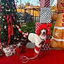 Nikki joined the competition — help win amazing prizes! celebration, christmas_tree, costume, decorations, dog, festive, greenery, holiday, inflatable_gingerbread, leash, outdoor, pet, playful, poodle, red, red_carpet, seasonal, white, winter, wrapped_gifts