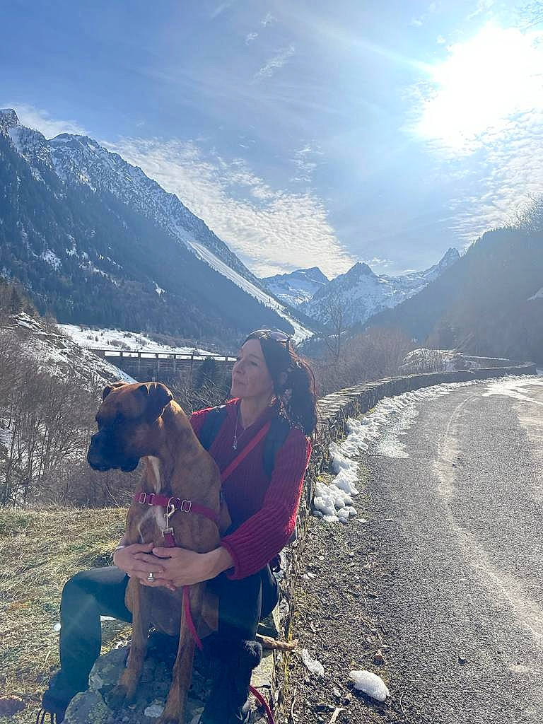 Orca a rejoint le concours — aidez-le/la à gagner de superbes lots ! carnivore, dog, dog_breed, fawn, happy, highland, hill, landscape, leisure, mountain, mountain_range, mountainous_landforms, people_in_nature, recreation, sky, slope, snow, sunlight, travel, valley