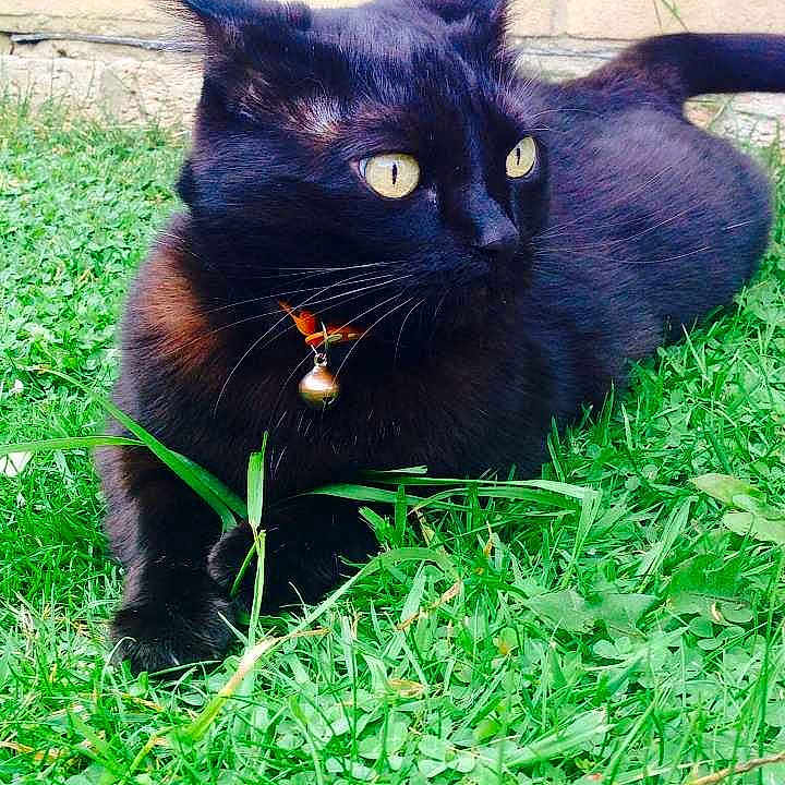 Zoe