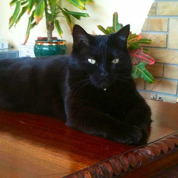 Zoe is registered to the contest to win money with this photo: