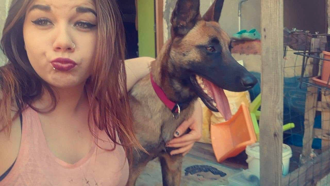 Nikita a rejoint le concours — aidez-le/la à gagner de superbes lots ! dog, dog_breed, ear, girl, person, selfie, snout