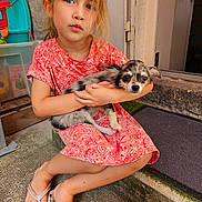 Bayana participe au concours pour gagner de l'argent avec cette photo : child, dog, pet, girl, sitting, holding, floral_dress, outdoor, concrete, doorstep, pout, small_dog, animal, casual, footwear, flip_flops, playful, cute, portrait, calm