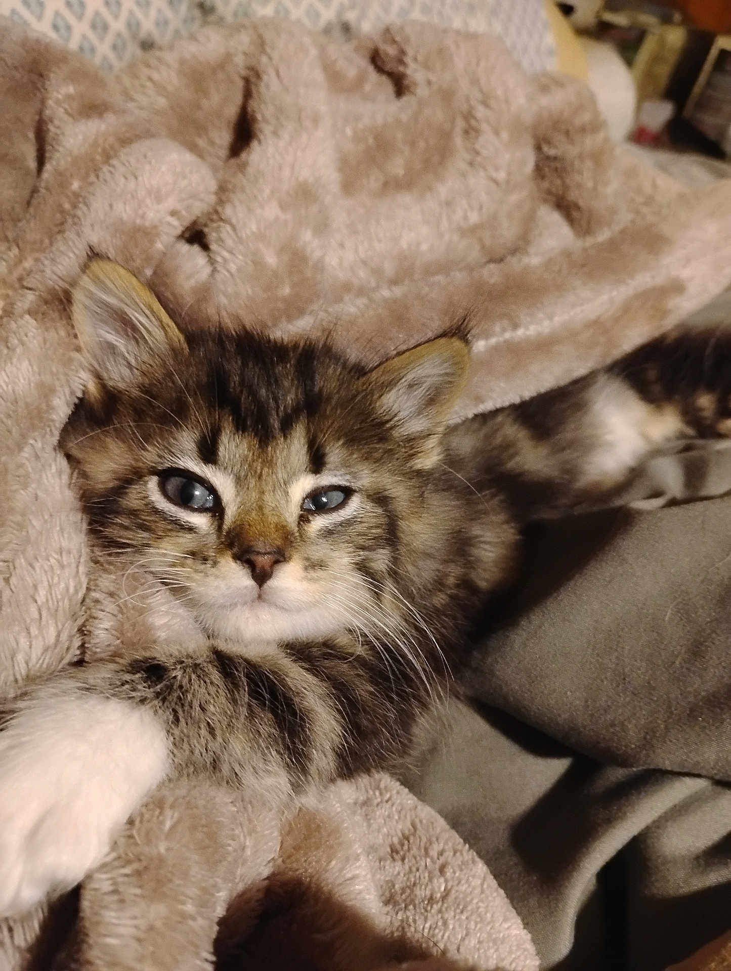 Kevin