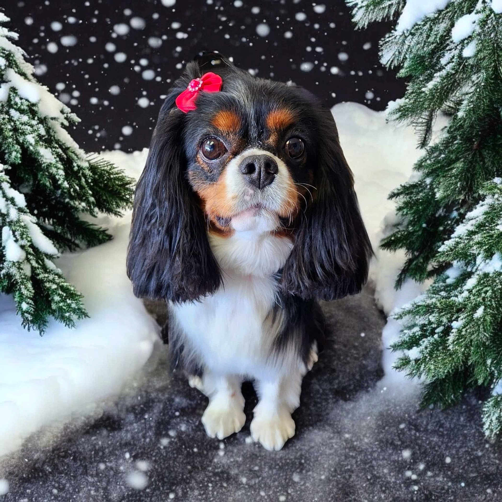 Frannie Lou