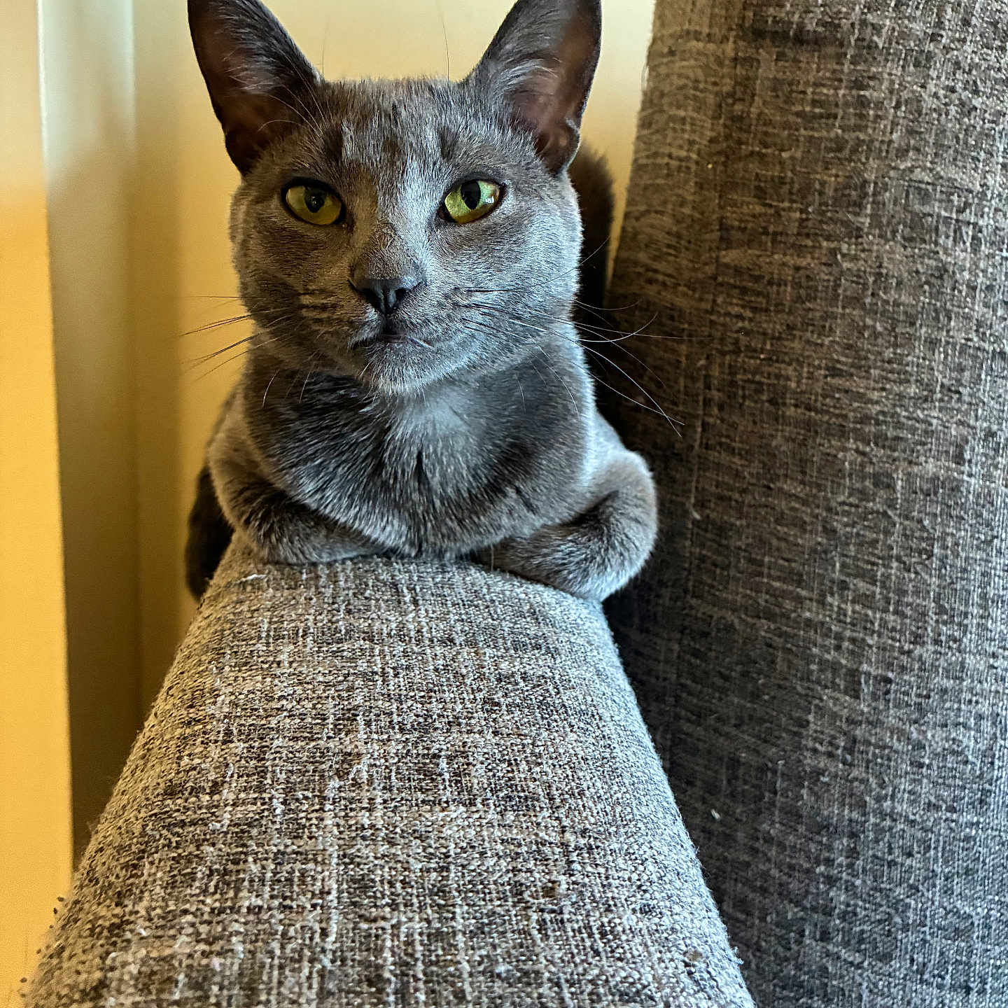 Tuco