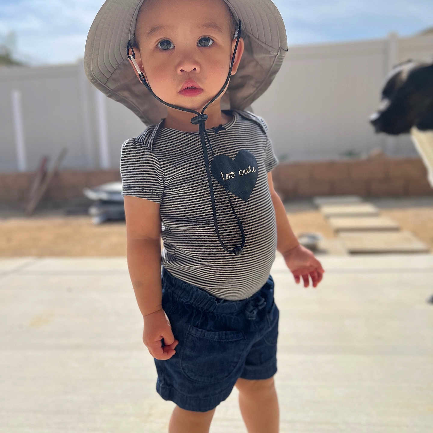 Amara joined the competition — help win amazing prizes! animal, boy, canine, cap, child, clothing, dog, face, footwear, hat, head, jeans, male, pants, person, photography, portrait, shoe, shorts, sunhat