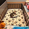 Peach is registered to the contest to win money with this photo: animal, bedding, bedroom, blanket, cat, colorful, cowboy_print, cozy, crib, furniture, home_decor, indoor, nap, nursery, pet, plush_toy, sleeping, stuffed_animal, tabby_cat, window