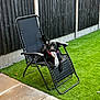 dog, black_dog, shoe, chair, recliner, backyard, grass, artificial_grass, fence, pet, playful, outdoor, animal, canine, collar, leisure, relaxing, pavement, daytime, garden