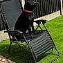 Luna joined the competition — help win amazing prizes! dog, black_dog, collar, pink_collar, lawn_chair, recliner, backyard, artificial_grass, green_grass, fence, wooden_fence, sunlight, shadow, outdoor, pet, animal, sitting, side_view, pavement, relax