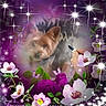 Ictor participe au concours pour gagner de l'argent avec cette photo : canidae, carnivore, dog, dog_breed, flower, illustration, pembroke_welsh_corgi, plant, puppy, spring, terrier, wildflower, yorkshire_terrier