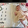 baby, infant, dress, blanket, floral, months, wreath, milestone, laying, cute, newborn, soft, pattern, celebration, child, person, indoors, skin, foot, hand