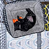 puppy, dog, black_dog, sleeping, pet_bed, toy, orange_toy, playpen, floor_mat, patterned_mat, cozy, indoor, pet, cute, resting, animal, fur, collar, paw, relaxed