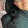 person, glasses, black_pug, puppy, car_seat, headrest, smile, indoors, window, seatbelt, jacket, face, pet, animal, cute, companion, closeup, young, comfort, travel