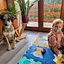 dog, puppy, baby, pacifier, toy_car, colorful_mat, indoor, plants, window, wooden_floor, child, playtime, pet, home, natural_light, furniture, sitting, cute, cozy, floor