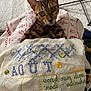 Yulmoo participe au concours pour gagner de l'argent avec cette photo : cat, bengal_cat, feline, embroidery, cross_stitch, fabric, blanket, textile, pattern, whiskers, yellow_eyes, ears, paw, carpet, cozy, indoor, pet, close_up, hobby, needlework