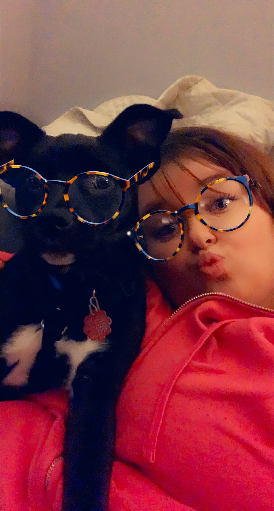 Shadow joined the competition — help win amazing prizes! companion_dog, cool, dog_breed, eyewear, facial_hair, fun, fur, gesture, glasses, goggles, happy, hat, magenta, mouth, personal_protective_equipment, selfie, sunglasses, tints_and_shades, vision_care, whiskers