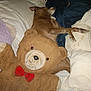 dog, sleeping, bed, pillow, blanket, teddy_bear, plush_toy, brown_dog, indoor, cozy, resting, stuffed_animal, fabric, soft, relaxation, comfort, animal, home, fur, cushion