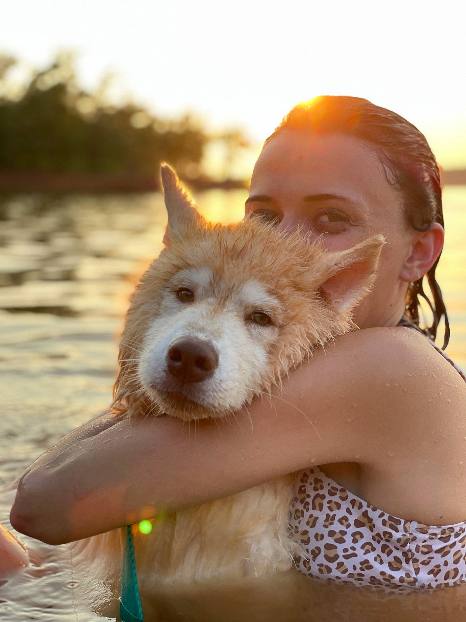 Koda is registered to the contest to win money with this photo: blond, carnivore, companion_dog, dog, dog_breed, fawn, fun, gesture, happy, lake, leisure, light, people_in_nature, people_on_beach, sand, sky, snout, summer, sunlight, water