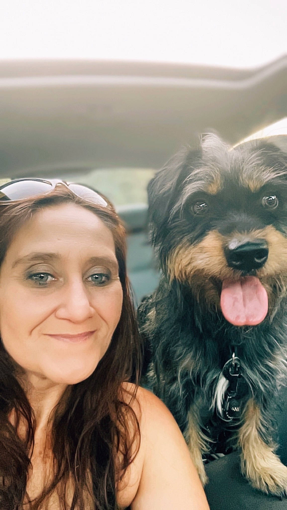 Charlie joined the competition — help win amazing prizes! black_hair, carnivore, companion_dog, dog, dog_breed, eyelash, eyewear, fashion_accessory, fawn, flash_photography, fur, happy, liver, long_hair, selfie, smile, snout, sporting_group, toy_dog, working_animal
