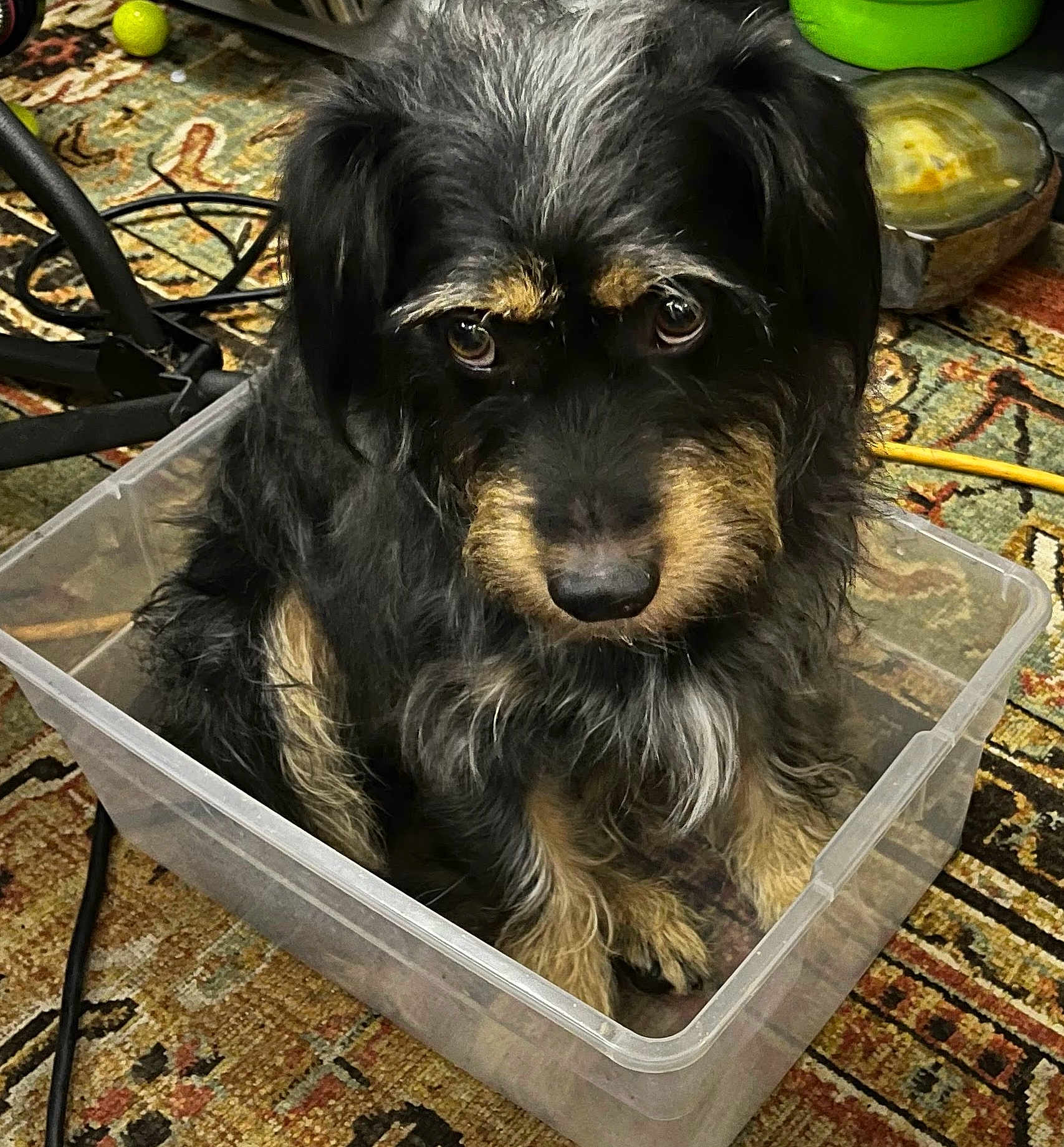 Charlie