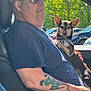Versace joined the competition — help win amazing prizes! accessory, animal, car, casual, dog, harness, human, man, outdoor, paw_print, pet, portrait, relaxed, seat, sunglasses, sunlight, tattoo, trees, vehicle, window