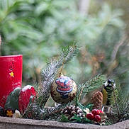 Noisette a rejoint le concours — aidez-le/la à gagner de superbes lots ! adaptation, branch, chipmunk, conifer_cone, fawn, garden_gnome, interior_design, lawn_ornament, organism, pine_family, plant, squirrel, tree