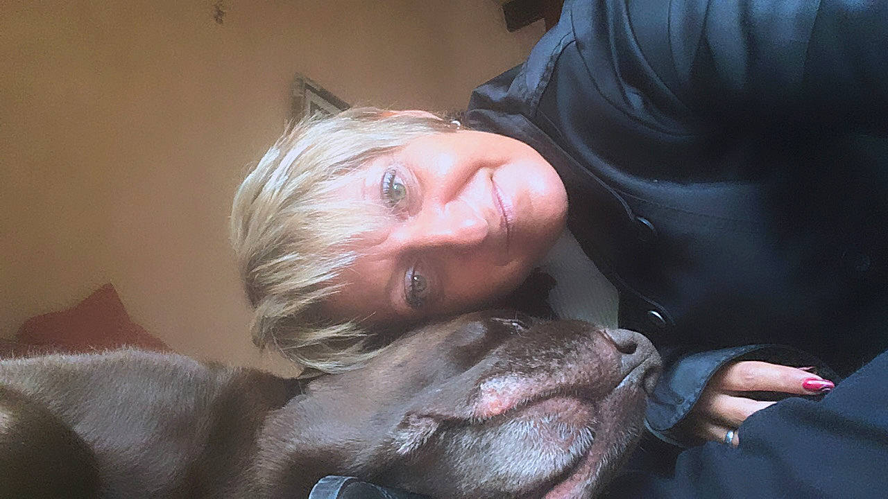 Fletcher a rejoint le concours — aidez-le/la à gagner de superbes lots ! blond, canidae, child, ear, fawn, head, mouth, neck, nose, skin, snout, sporting_group, weimaraner