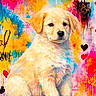 animal, bright, colorful, crown, cute, dog, fur, golden_retriever, graffiti, heart, paint, paw_print, pet, portrait, puppy, sitting, street_art, urban, wall, young_dog